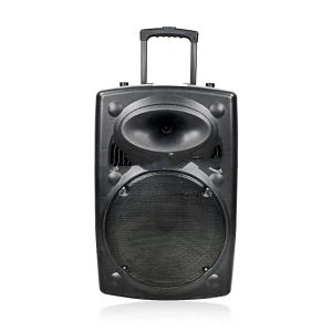 クラシック BT スピーカー