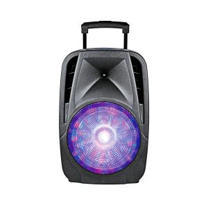 プロフェッショナル スピーカー サウンド システム